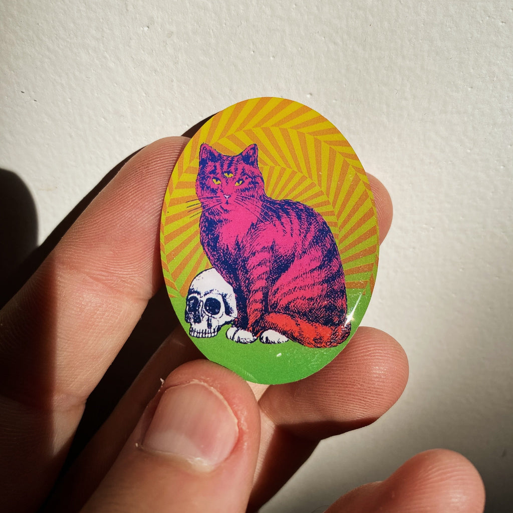 Groovy Cat Pin